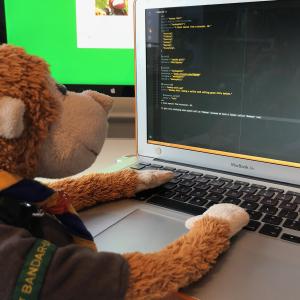 Monkey Phill writing code for the Bandar-log website.