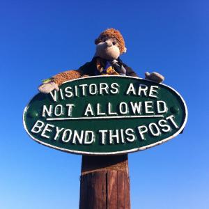 Monkey Phill sitting on a sign that reads: Visitors are not allowed beyond this post.